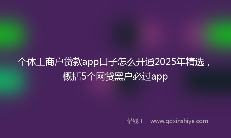 个体工商户贷款app口子怎么开通2025年精选，概括5个网贷黑户必过app