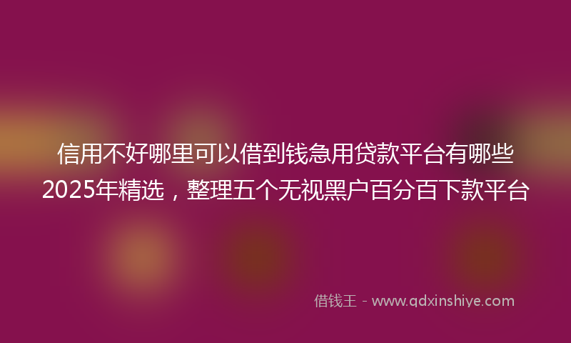 信用不好哪里可以借到钱急用贷款平台有哪些2025年精选，整理五个无视黑户百分百下款平台