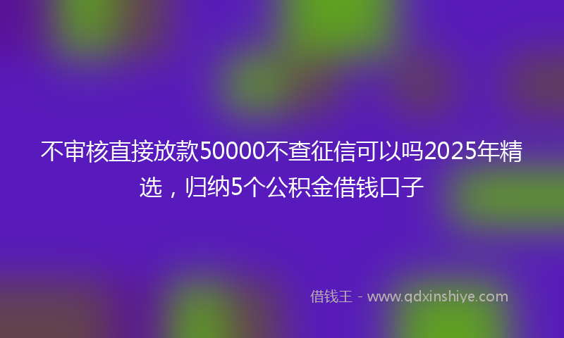 不审核直接放款50000不查征信可以吗2025年精选，归纳5个公积金借钱口子
