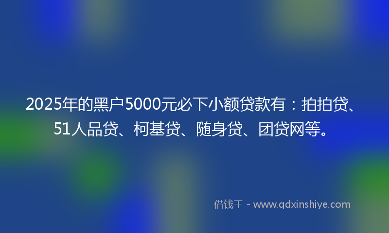 2025年的黑户5000元必下小额贷款有：拍拍贷、51人品贷、柯基贷、随身贷、团贷网等。