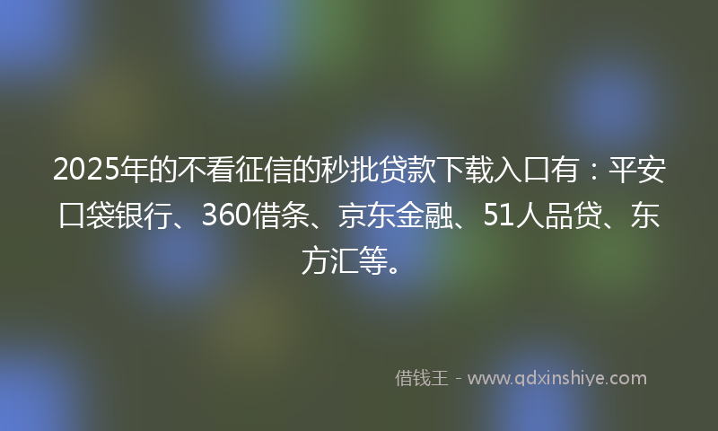 2025年的不看征信的秒批贷款下载入口有：平安口袋银行、360借条、京东金融、51人品贷、东方汇等。