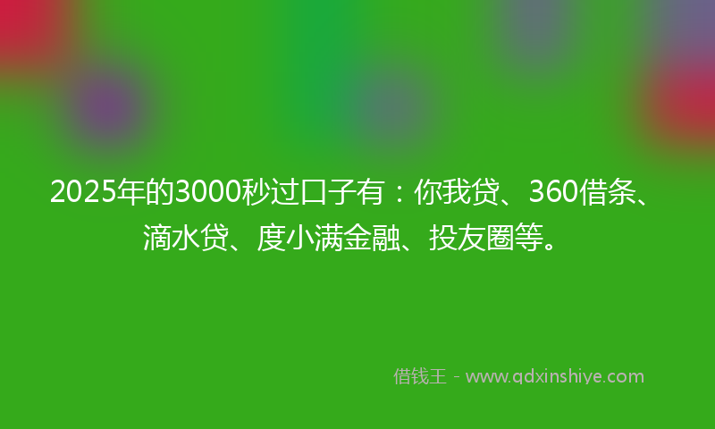 2025年的3000秒过口子有：你我贷、360借条、滴水贷、度小满金融、投友圈等。