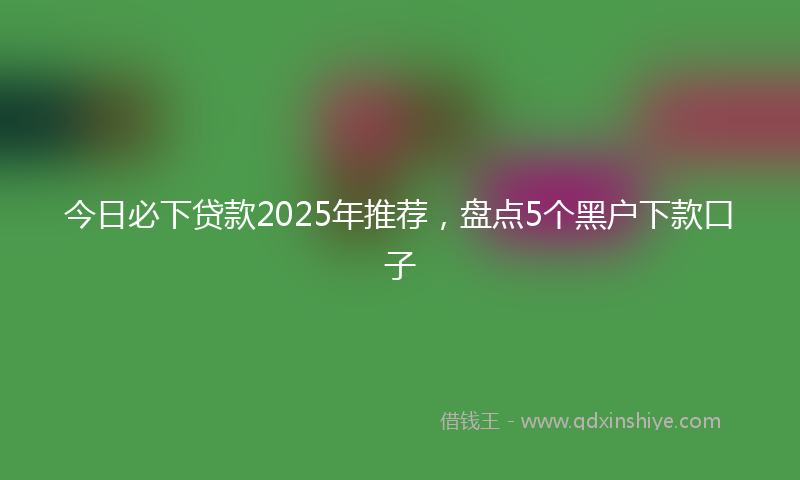 今日必下贷款2025年推荐，盘点5个黑户下款口子