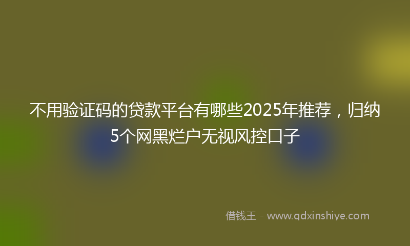 不用验证码的贷款平台有哪些2025年推荐，归纳5个网黑烂户无视风控口子