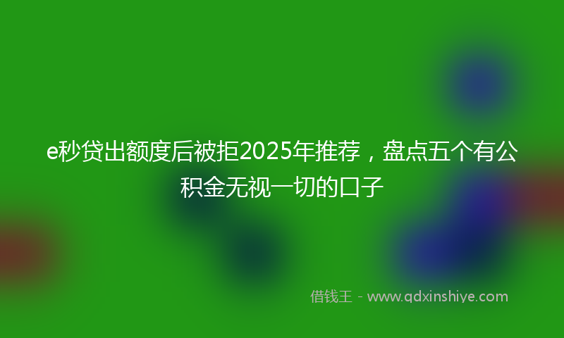 e秒贷出额度后被拒2025年推荐，盘点五个有公积金无视一切的口子