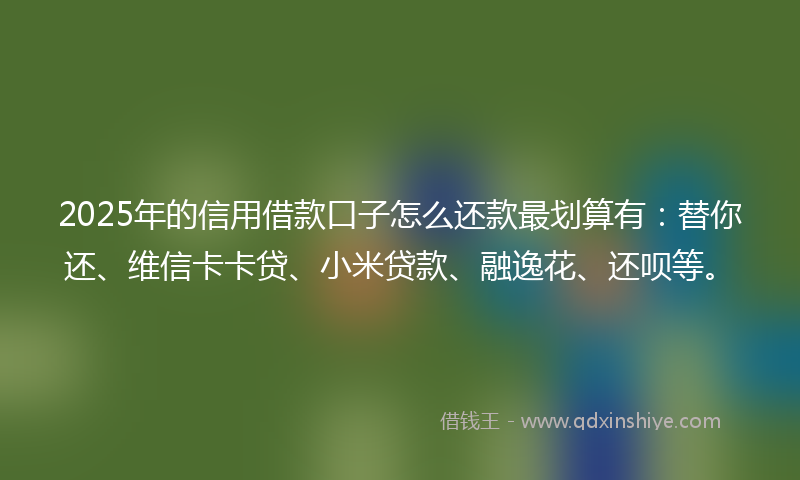 2025年的信用借款口子怎么还款最划算有：替你还、维信卡卡贷、小米贷款、融逸花、还呗等。