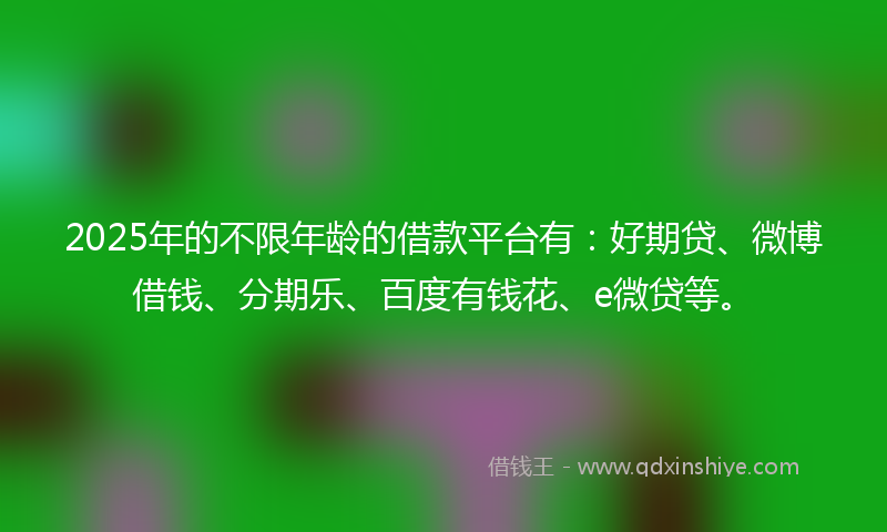 2025年的不限年龄的借款平台有：好期贷、微博借钱、分期乐、百度有钱花、e微贷等。
