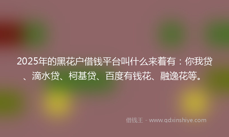 2025年的黑花户借钱平台叫什么来着有：你我贷、滴水贷、柯基贷、百度有钱花、融逸花等。