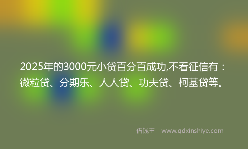 2025年的3000元小贷百分百成功,不看征信有：微粒贷、分期乐、人人贷、功夫贷、柯基贷等。