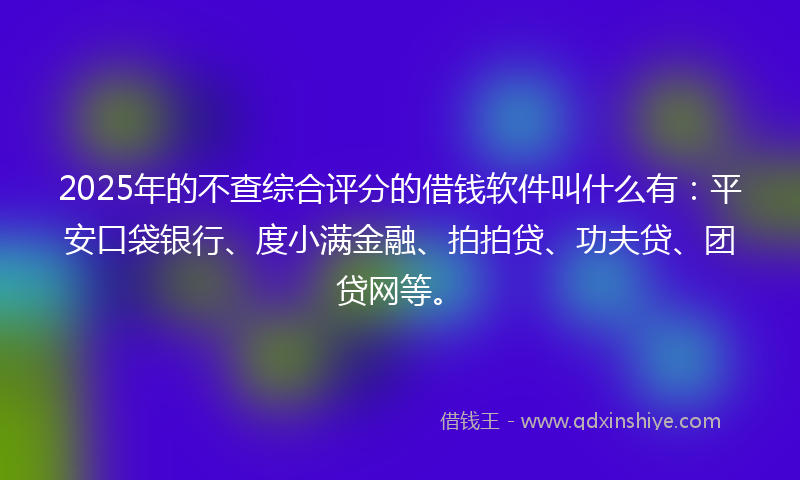 2025年的不查综合评分的借钱软件叫什么有：平安口袋银行、度小满金融、拍拍贷、功夫贷、团贷网等。