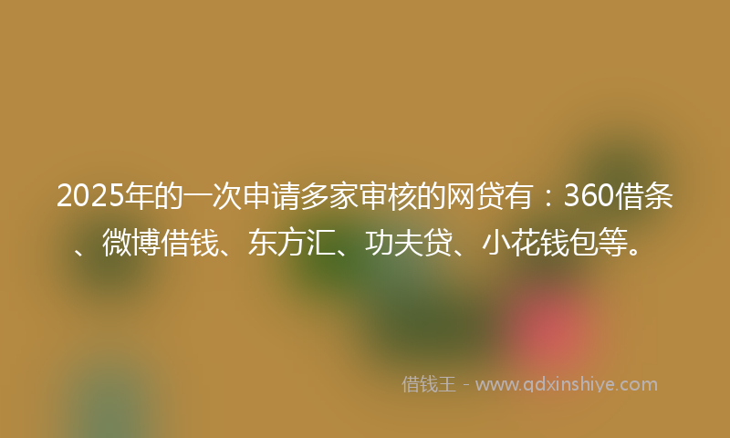 2025年的一次申请多家审核的网贷有：360借条、微博借钱、东方汇、功夫贷、小花钱包等。