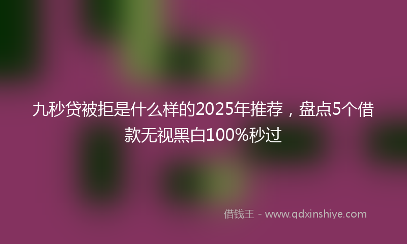 九秒贷被拒是什么样的2025年推荐，盘点5个借款无视黑白100%秒过