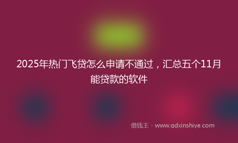2025年热门飞贷怎么申请不通过，汇总五个11月能贷款的软件