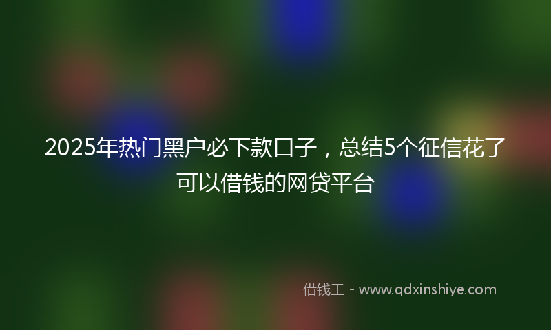 2025年热门黑户必下款口子，总结5个征信花了可以借钱的网贷平台