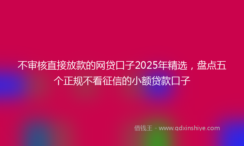 不审核直接放款的网贷口子2025年精选，盘点五个正规不看征信的小额贷款口子