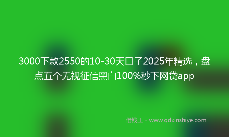 3000下款2550的10-30天口子2025年精选，盘点五个无视征信黑白100%秒下网贷app