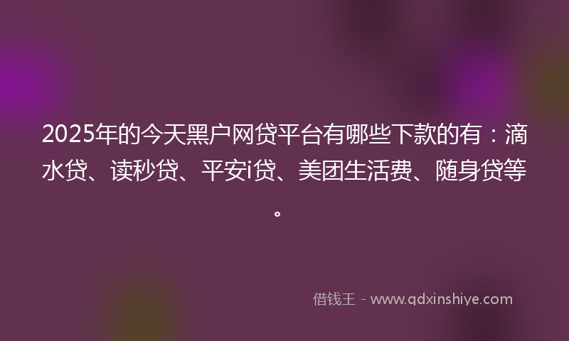 2025年的今天黑户网贷平台有哪些下款的有：滴水贷、读秒贷、平安i贷、美团生活费、随身贷等。
