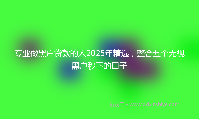 专业做黑户贷款的人2025年精选，整合五个无视黑户秒下的口子