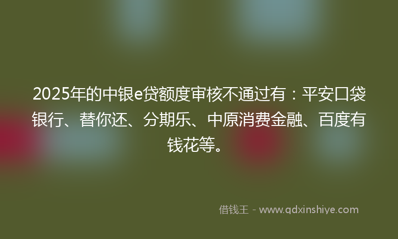 2025年的中银e贷额度审核不通过有：平安口袋银行、替你还、分期乐、中原消费金融、百度有钱花等。