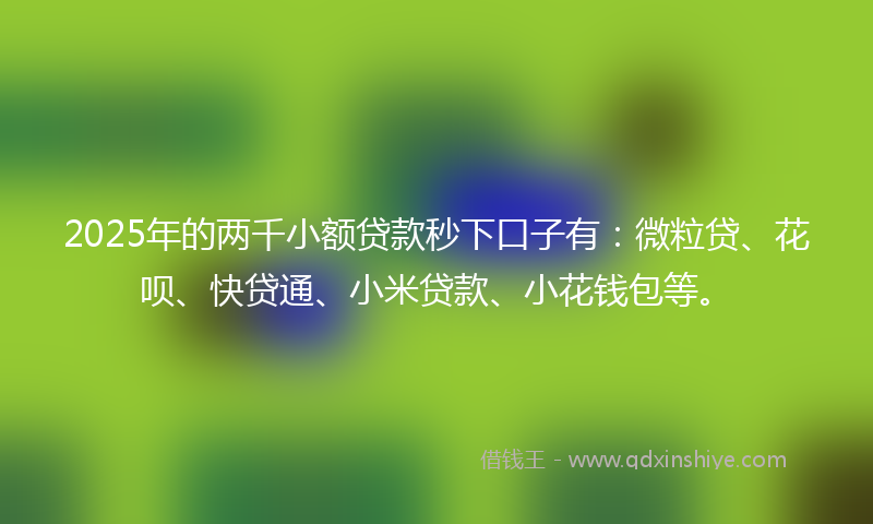 2025年的两千小额贷款秒下口子有：微粒贷、花呗、快贷通、小米贷款、小花钱包等。