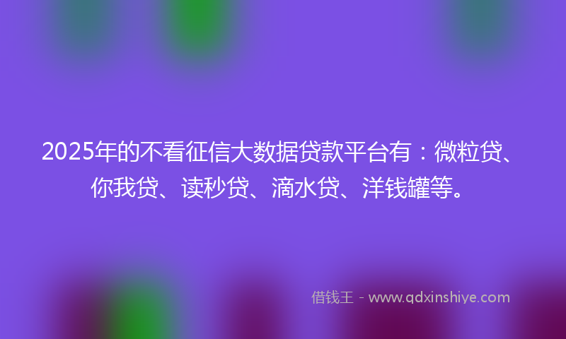 2025年的不看征信大数据贷款平台有：微粒贷、你我贷、读秒贷、滴水贷、洋钱罐等。