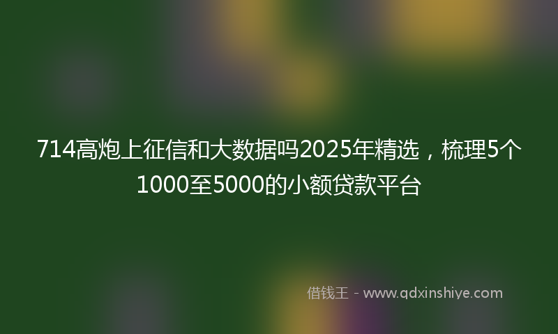 714高炮上征信和大数据吗2025年精选，梳理5个1000至5000的小额贷款平台