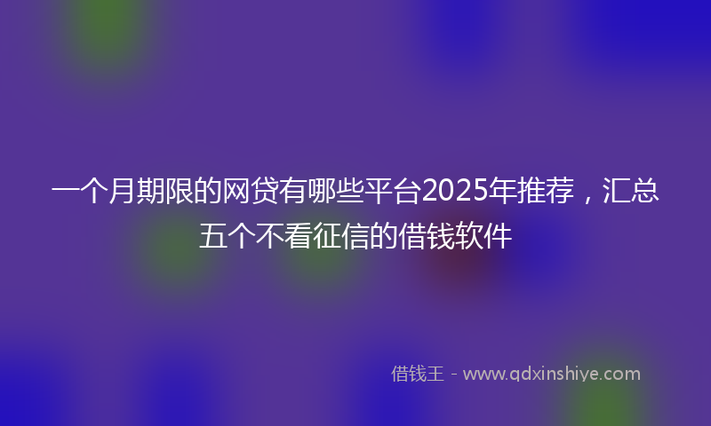 一个月期限的网贷有哪些平台2025年推荐，汇总五个不看征信的借钱软件