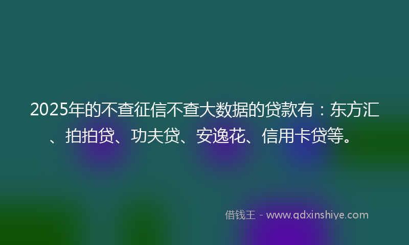 2025年的不查征信不查大数据的贷款有：东方汇、拍拍贷、功夫贷、安逸花、信用卡贷等。