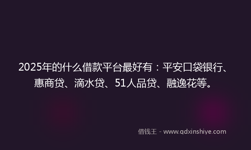 2025年的什么借款平台最好有：平安口袋银行、惠商贷、滴水贷、51人品贷、融逸花等。