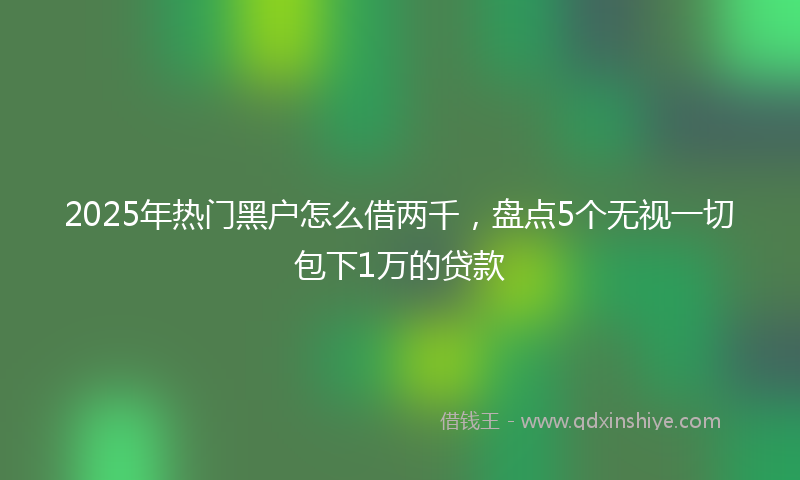 2025年热门黑户怎么借两千，盘点5个无视一切包下1万的贷款