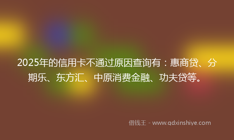 2025年的信用卡不通过原因查询有：惠商贷、分期乐、东方汇、中原消费金融、功夫贷等。