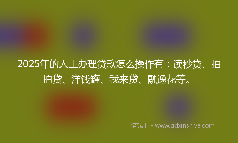 2025年的人工办理贷款怎么操作有：读秒贷、拍拍贷、洋钱罐、我来贷、融逸花等。