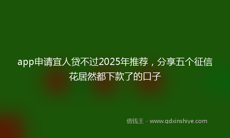app申请宜人贷不过2025年推荐，分享五个征信花居然都下款了的口子