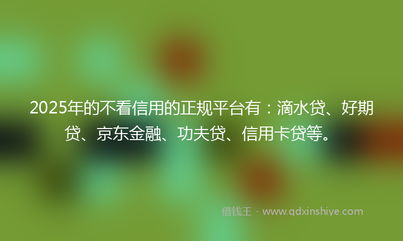 2025年的不看信用的正规平台有：滴水贷、好期贷、京东金融、功夫贷、信用卡贷等。