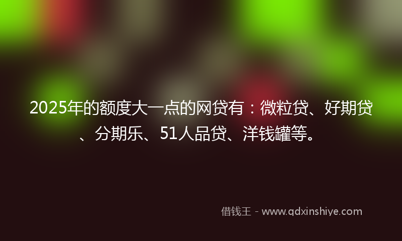 2025年的额度大一点的网贷有：微粒贷、好期贷、分期乐、51人品贷、洋钱罐等。