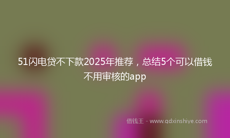 51闪电贷不下款2025年推荐，总结5个可以借钱不用审核的app