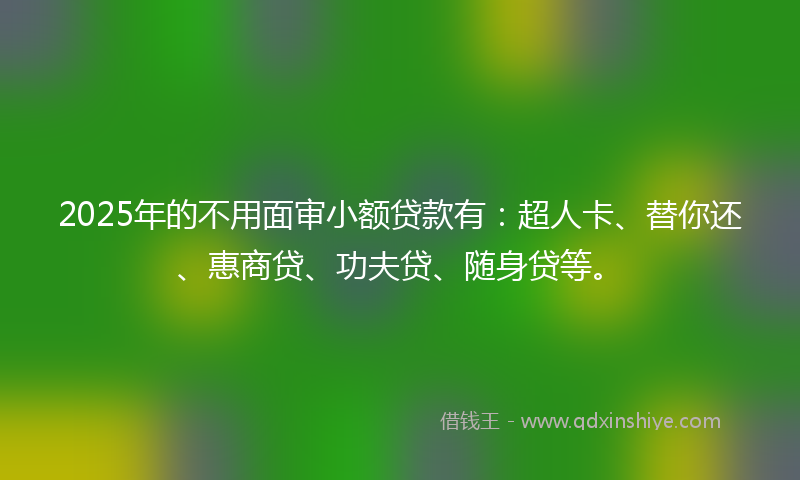 2025年的不用面审小额贷款有：超人卡、替你还、惠商贷、功夫贷、随身贷等。