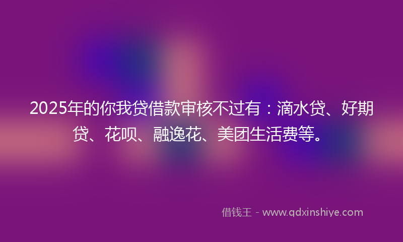 2025年的你我贷借款审核不过有：滴水贷、好期贷、花呗、融逸花、美团生活费等。