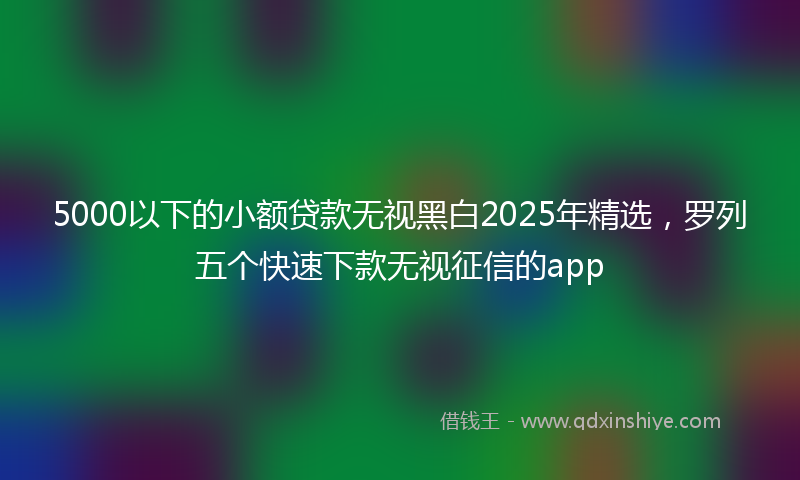 5000以下的小额贷款无视黑白2025年精选，罗列五个快速下款无视征信的app
