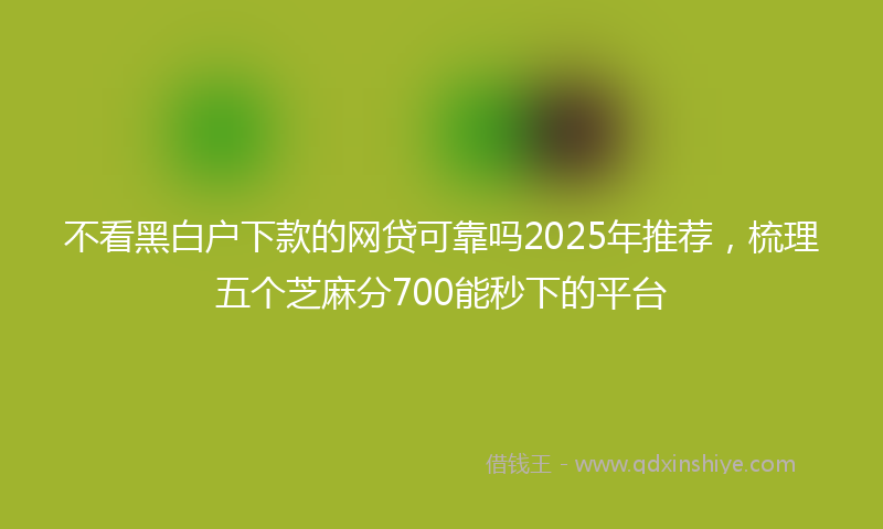 不看黑白户下款的网贷可靠吗2025年推荐，梳理五个芝麻分700能秒下的平台