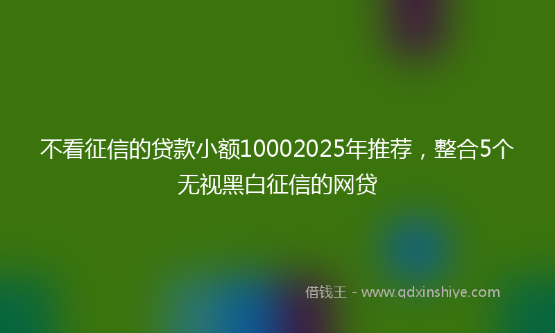 不看征信的贷款小额10002025年推荐，整合5个无视黑白征信的网贷