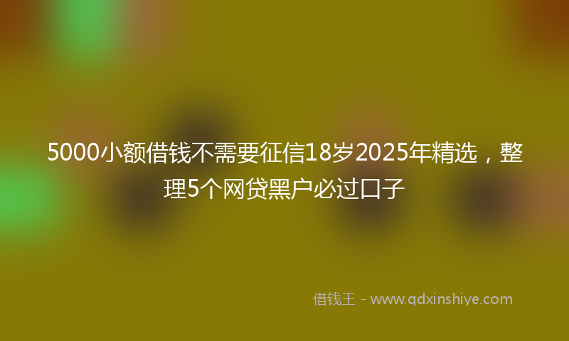 5000小额借钱不需要征信18岁2025年精选，整理5个网贷黑户必过口子