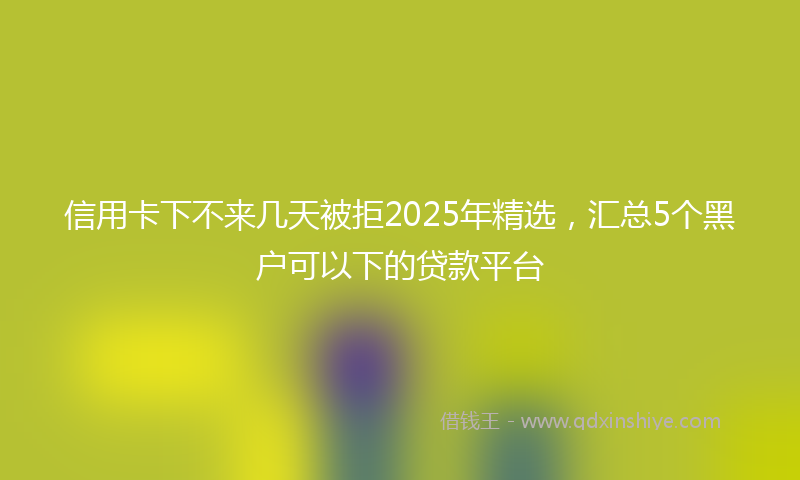 信用卡下不来几天被拒2025年精选，汇总5个黑户可以下的贷款平台