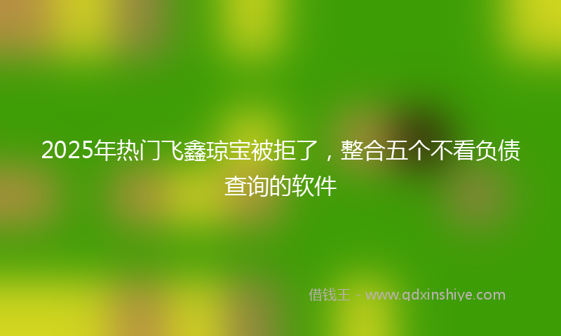 2025年热门飞鑫琼宝被拒了，整合五个不看负债查询的软件