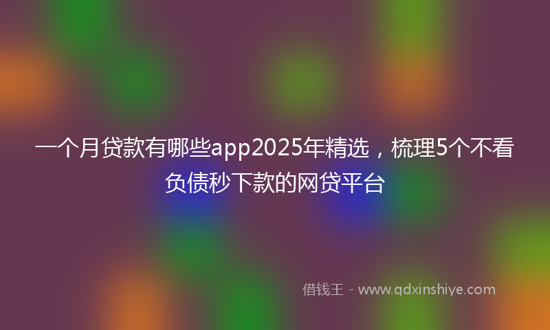 一个月贷款有哪些app2025年精选，梳理5个不看负债秒下款的网贷平台