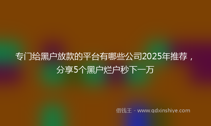 专门给黑户放款的平台有哪些公司2025年推荐，分享5个黑户烂户秒下一万
