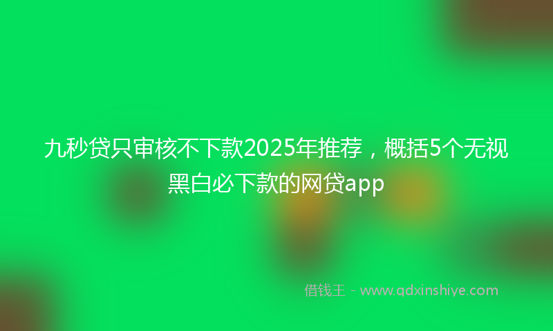 九秒贷只审核不下款2025年推荐，概括5个无视黑白必下款的网贷app