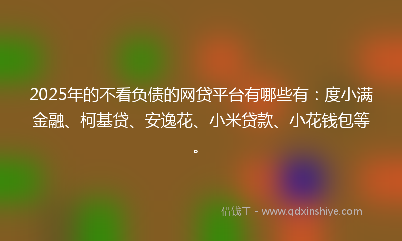 2025年的不看负债的网贷平台有哪些有：度小满金融、柯基贷、安逸花、小米贷款、小花钱包等。