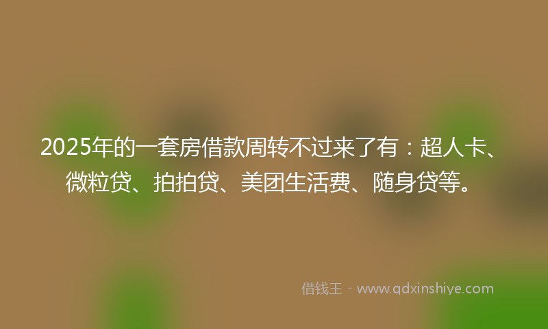 2025年的一套房借款周转不过来了有：超人卡、微粒贷、拍拍贷、美团生活费、随身贷等。