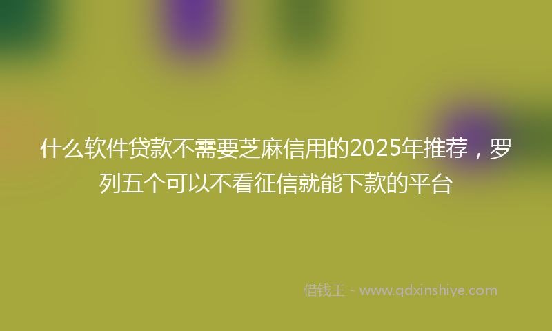 什么软件贷款不需要芝麻信用的2025年推荐，罗列五个可以不看征信就能下款的平台